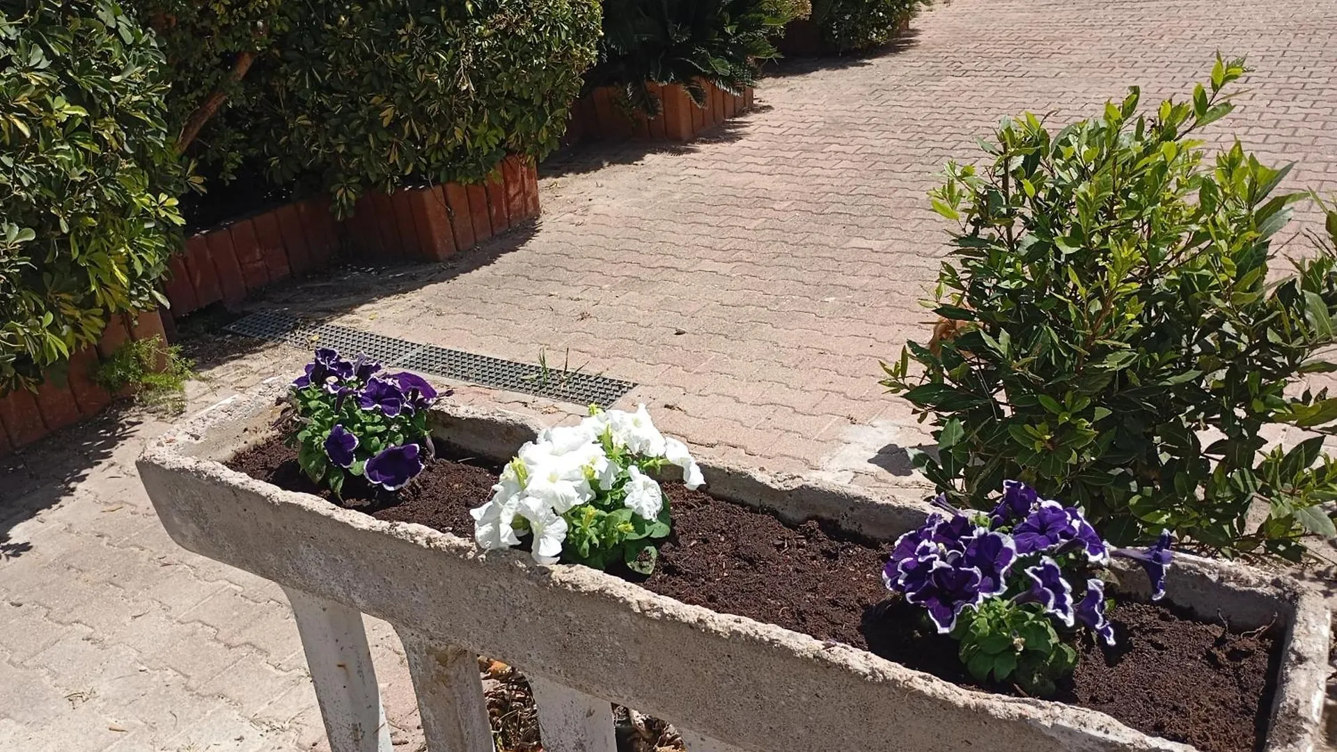Holiday home All Ombra Del Carrubbo Ottava