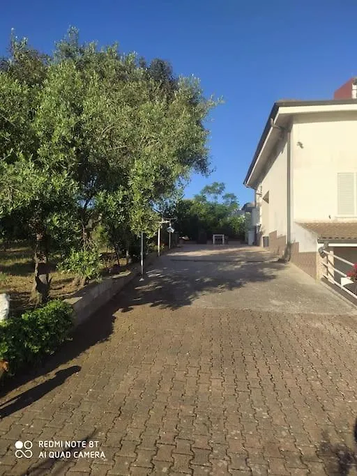 All Ombra Del Carrubo Ottava